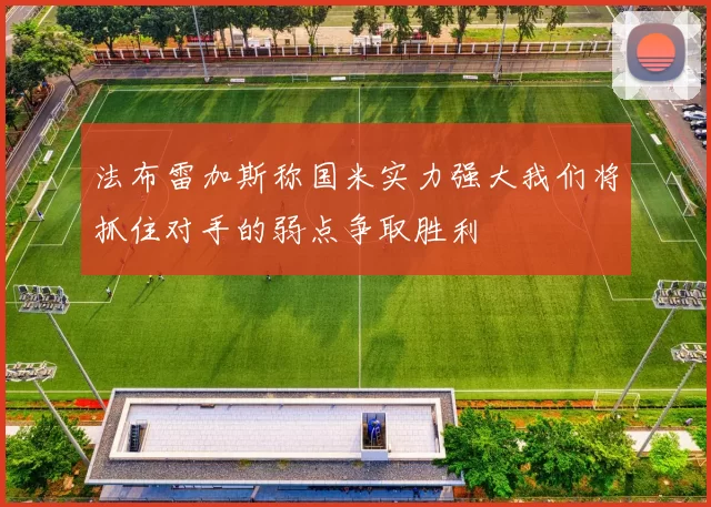 法布雷加斯称国米实力强大我们将抓住对手的弱点争取胜利